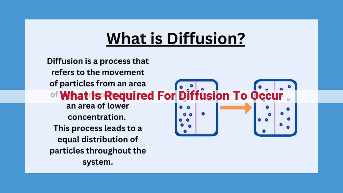 Diffusion: Understanding the Fundamentals for Biological Processes