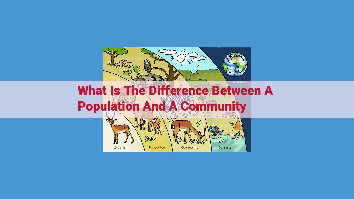 Population vs. Community in Ecology: Understanding Species Dynamics