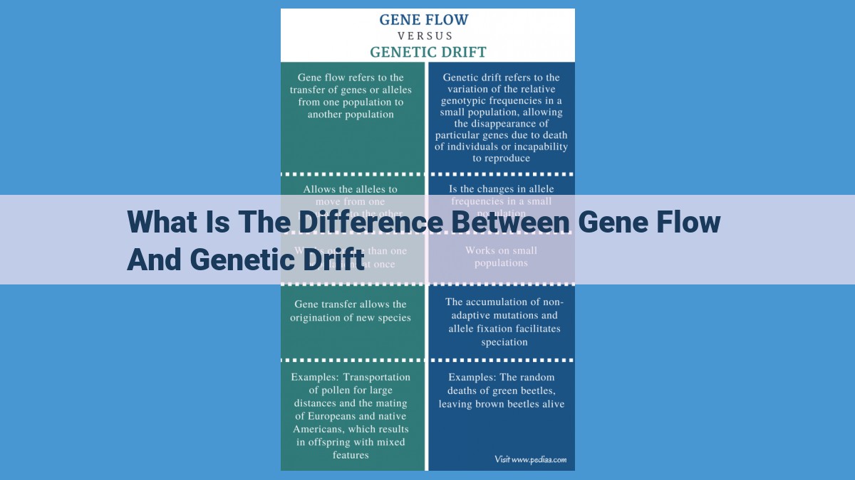 Understanding Gene Flow and Genetic Drift: Their Impact on Genetic Variation