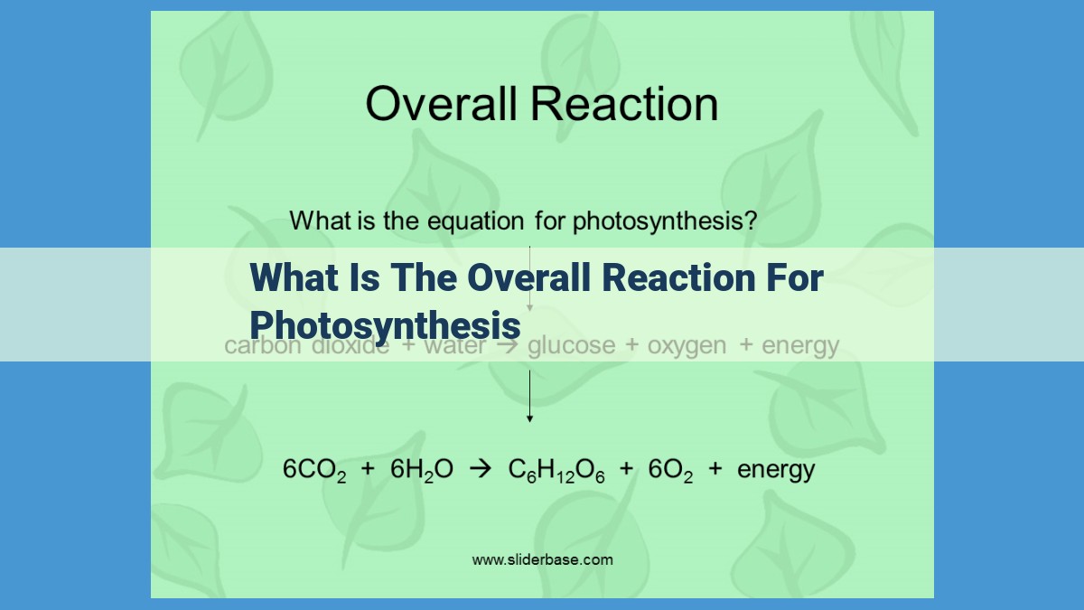 Photosynthesis: The Vital Process that Sustains Earth's Life