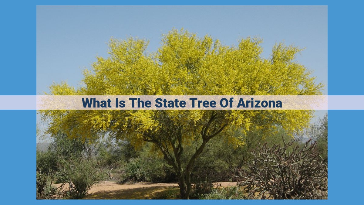 Arizona's Palo Verde: A Symbol of Aridity, Ecosystem Health, and Conservation