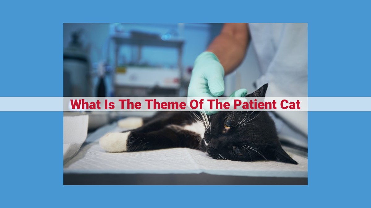 Patience: A Virtue that Leads to Success in "The Patient Cat"