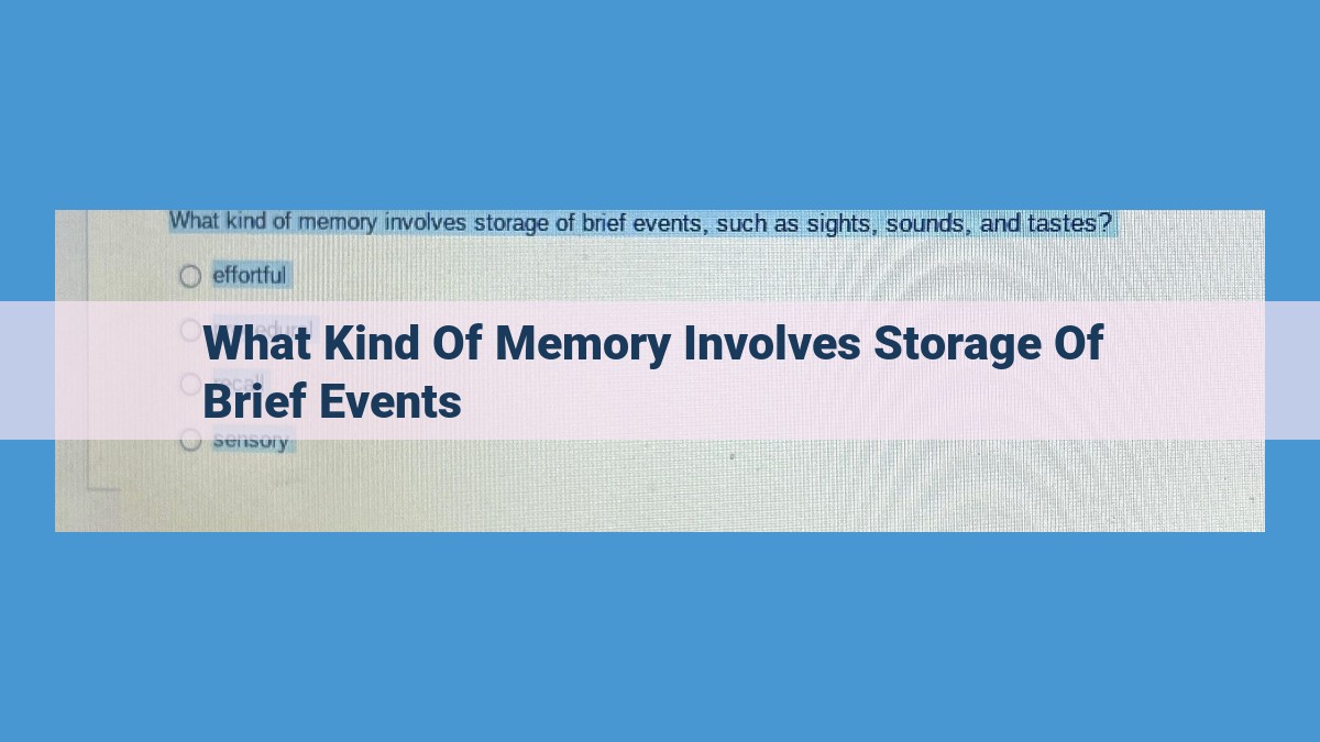 Sensory Memory: Its Vital Role in Immediate Perception and Memory Function