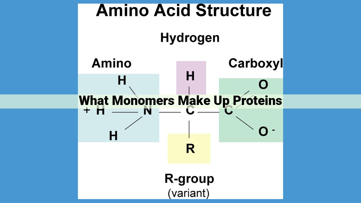 Structure and Function of Proteins: A Comprehensive Overview