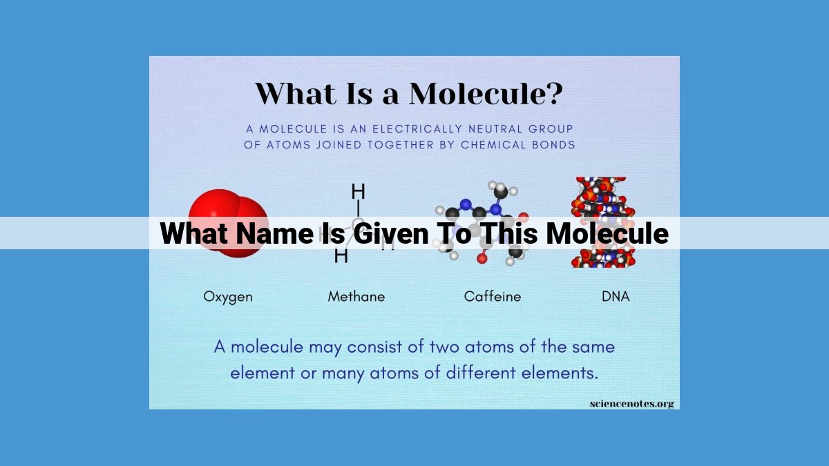 Introducing Ethylamine: A Comprehensive Guide to Its Nomenclature, Properties, and Applications