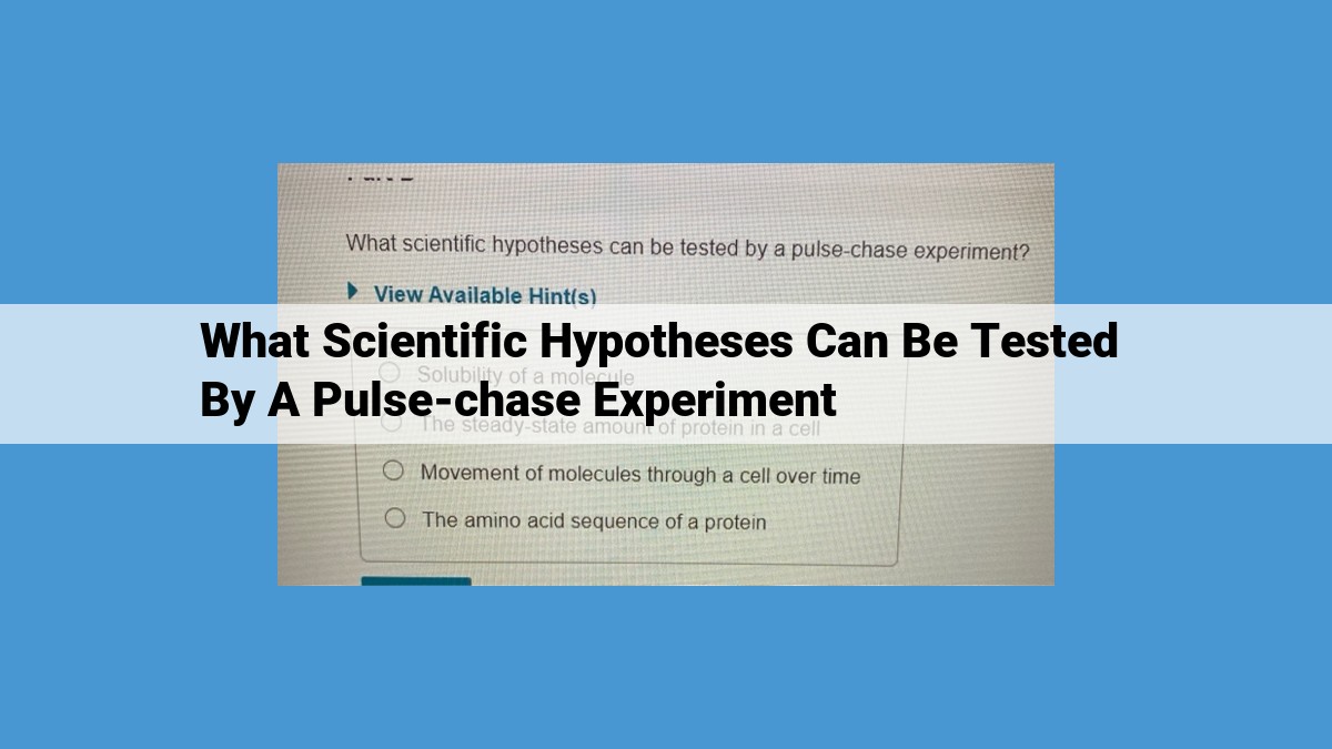 Advance Protein Analysis: Unveiling Protein Synthesis, Degradation, and Turnover with Pulse-Chase Experiments