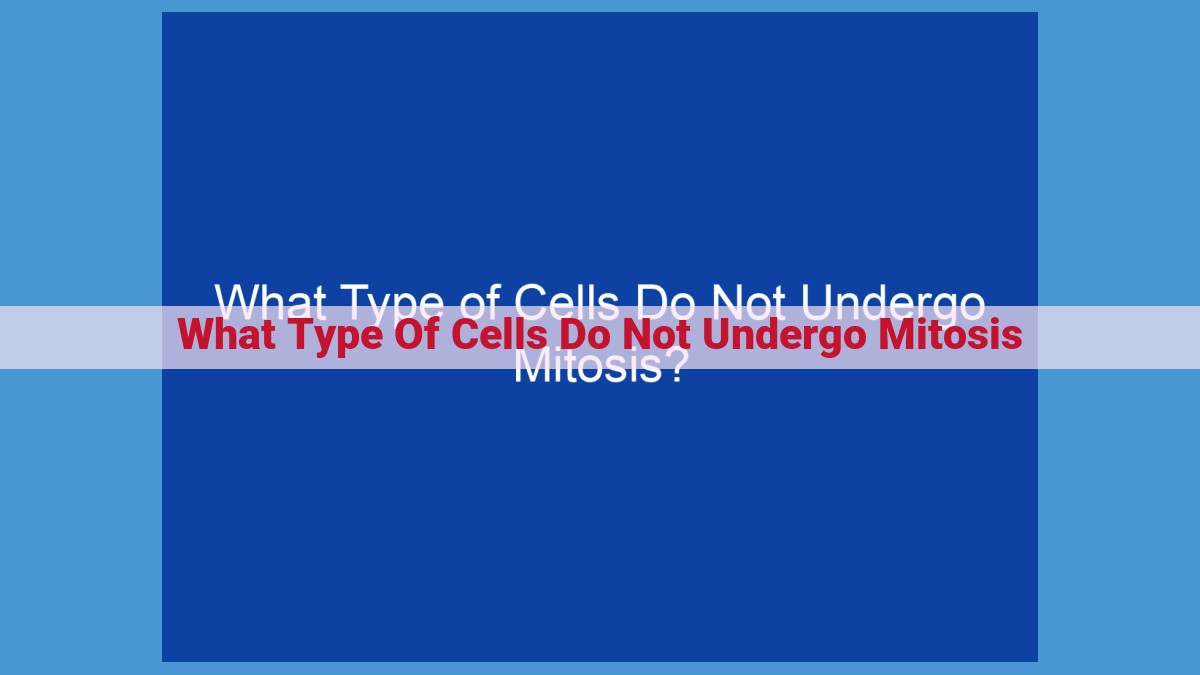 Comprehensive Guide to Cells Exempted from Mitosis: Specialized Functions and Adaptations