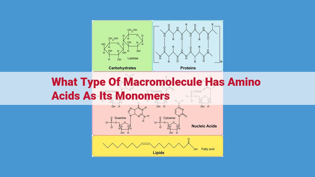 Proteins: Essential Molecules Composed of Amino Acids